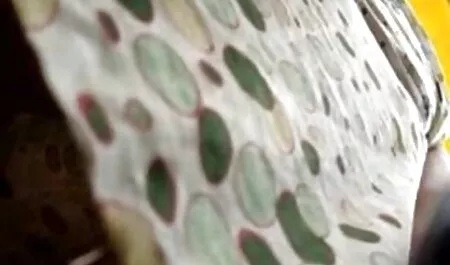 निकोली हिंदी वीडियो सेक्सी मूवी को अपनी चूत को सहलाना बहुत पसंद है