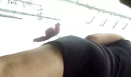 एक काले रंग की महिला के साथ सेक्स न केवल अपने स्नेह के साथ, बल्कि शरीर के साथ भी पुरुष को पूर्ण संतुष्टि देगा, जिससे आप लड़की को अधिक से अधिक कठिन बकवास करना चाहते हैं, काले गधे और शुक्राणु में एक और प्रवेश पहले से ही अपने गुदा में, हिंदी सेक्सी पिक्चर फुल मूवी वीडियो पैरों के साथ, पैरों के साथ बह रहा है